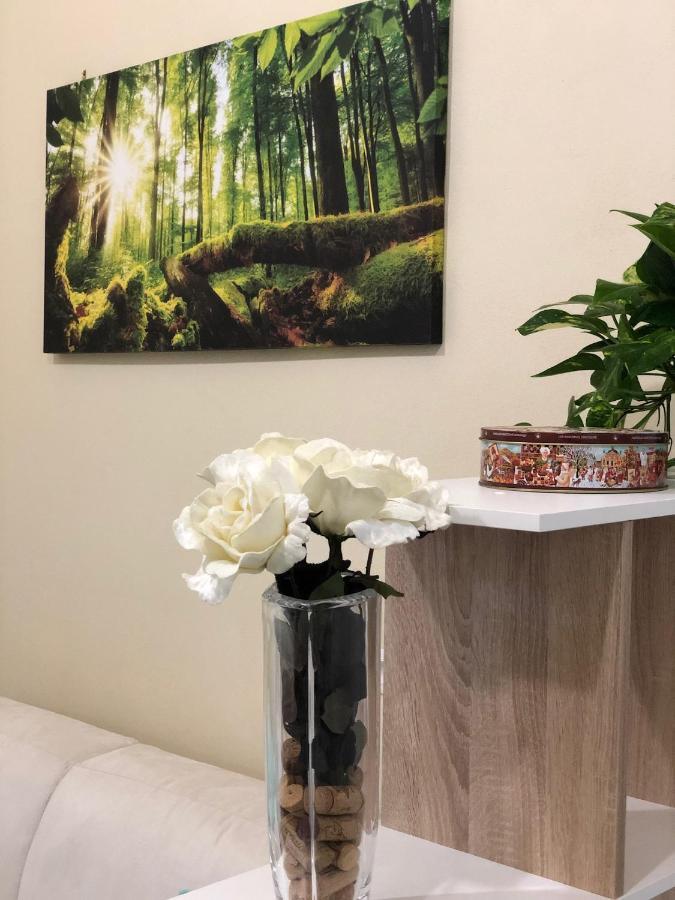Sofihome Болонья Екстер'єр фото
